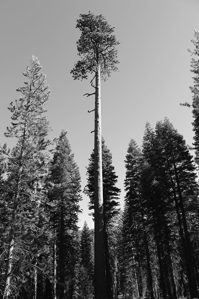 bw_6